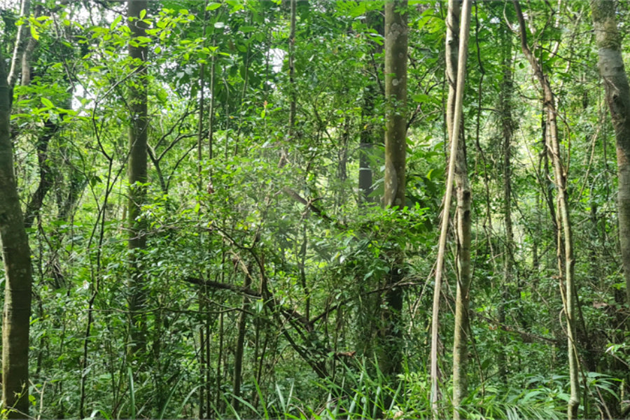 Terreno à venda em Caraguatá, Mairiporã, SP
