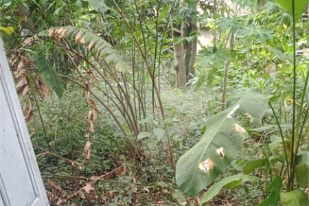 Área de Terra à venda com 4 quartos, sendo 1 suíte, em Pedra de Guaratiba, Rio de Janeiro, RJ