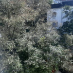 Apartamento à venda com 3 quartos, sendo 1 suíte, em Copacabana, Rio de Janeiro, RJ