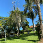 Sítio à venda com 4 quartos, sendo 3 suítes, em Aguas de Igaratá, Igaratá, SP