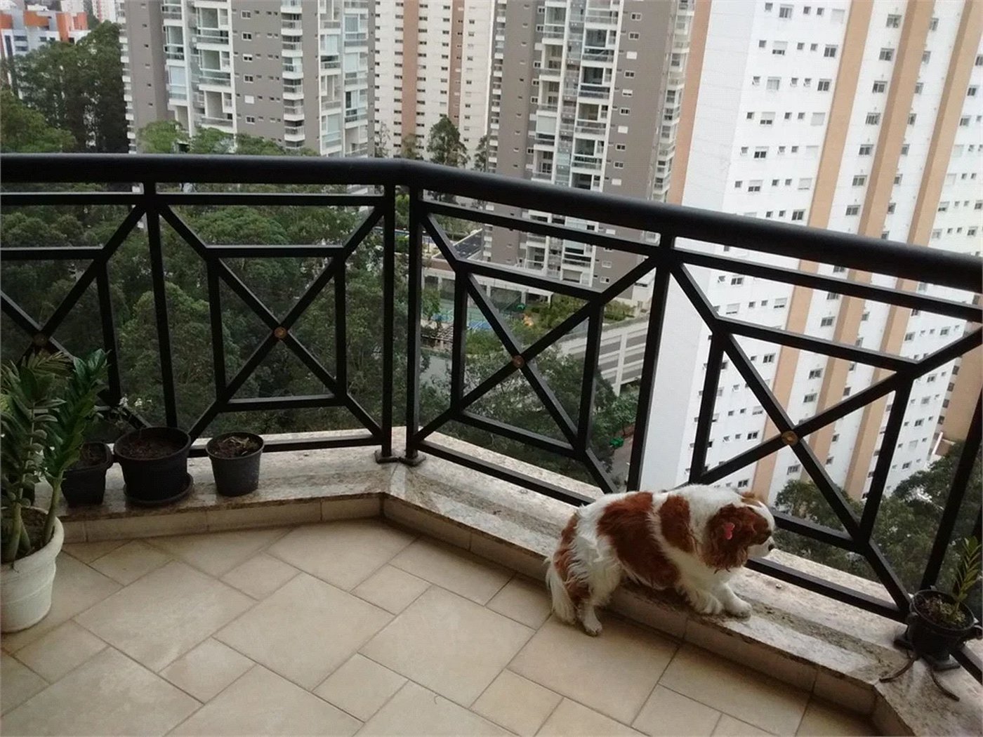 Apartamento à venda com 3 suítes em Vila Andrade, São Paulo, SP