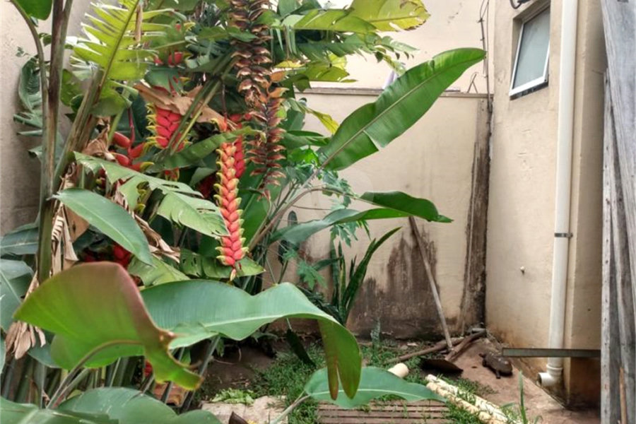 Sobrado à venda com 3 suítes em Morumbi, São Paulo, SP