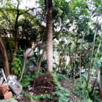 Terreno à venda em Tucuruvi, São Paulo, SP