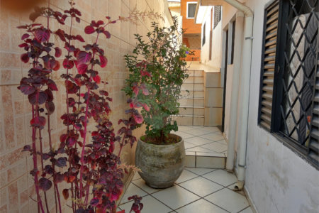 Casa Térrea à venda com 4 quartos, sendo 1 suíte,  em Vila Mazzei, São Paulo, SP