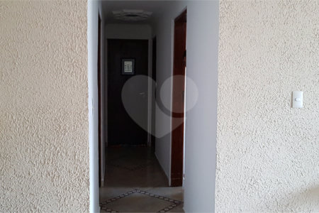 Apartamento à venda com 3 quartos em Cambuci, São Paulo, SP