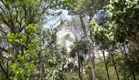 Apartamento à venda com 4 quartos, sendo 2 suítes,  em Lar São Paulo, São Paulo, SP