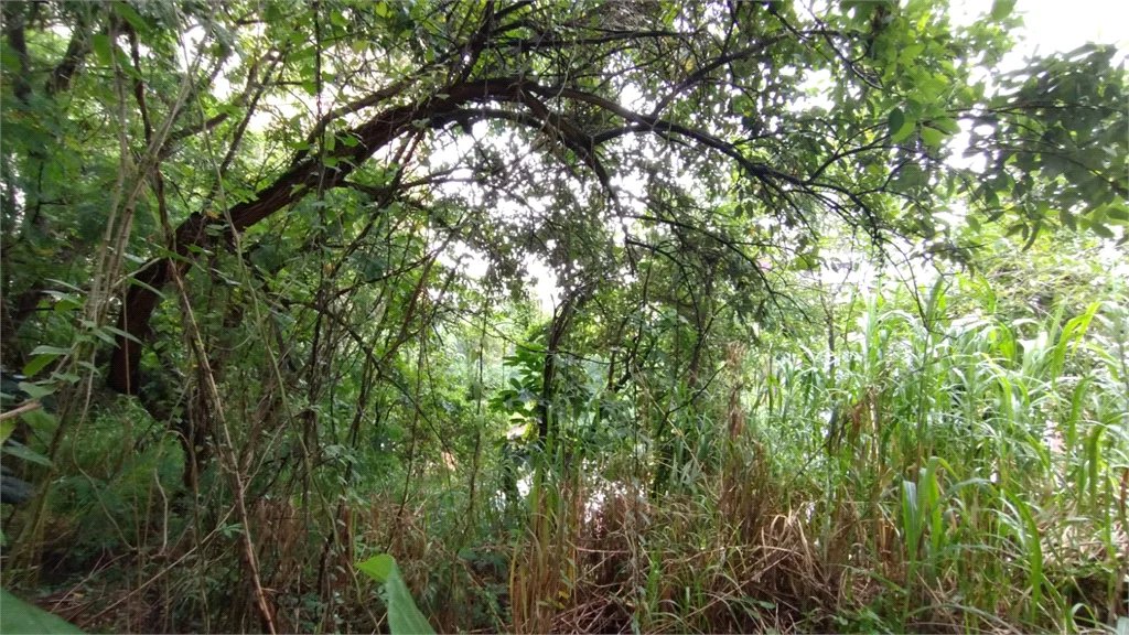 Terreno à venda em Vila Suzana, São Paulo, SP