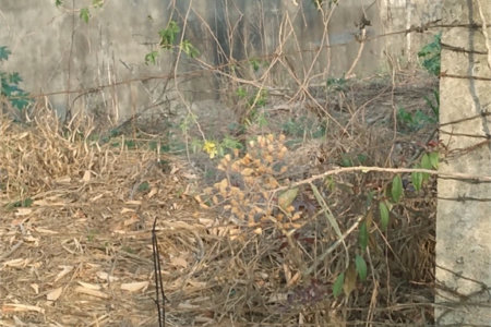 Terreno à venda em Jardim São João (zona Norte), São Paulo, SP