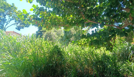 Terreno à venda em Caravelas, Armação dos Búzios, RJ