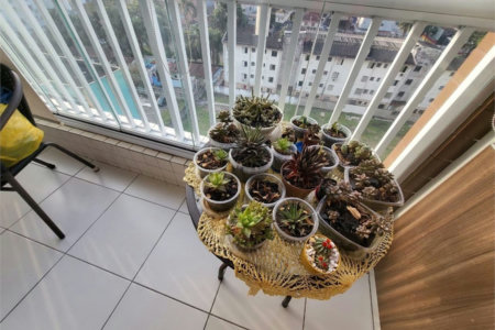 Apartamento Residencial à venda, Encruzilhada, Santos - AP1360.