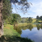 Terreno à venda em Vila Darcy Penteado (mailasqui), São Roque, SP