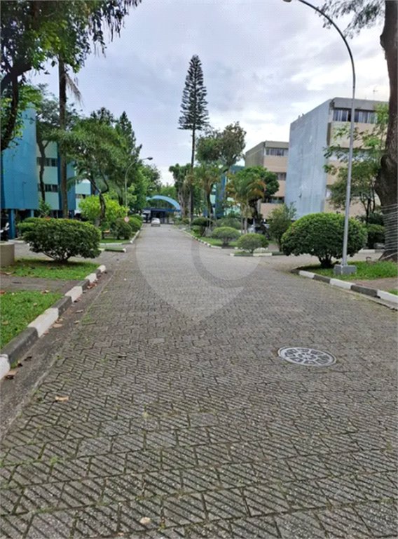 Apartamento à venda com 3 quartos em Parque Cecap, Guarulhos, SP
