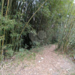 Terreno à venda em Vila Junqueira, São Roque, SP