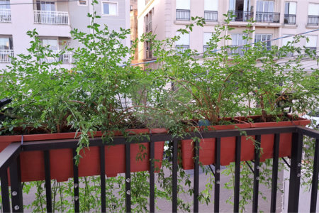 Apartamento à venda com 2 quartos, sendo 1 suíte, em Jardim Botânico, Ribeirão Preto, SP
