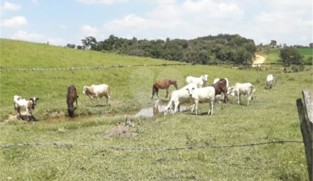 Área de Terra à venda em Área Rural de Monte Mor, Monte Mor, SP