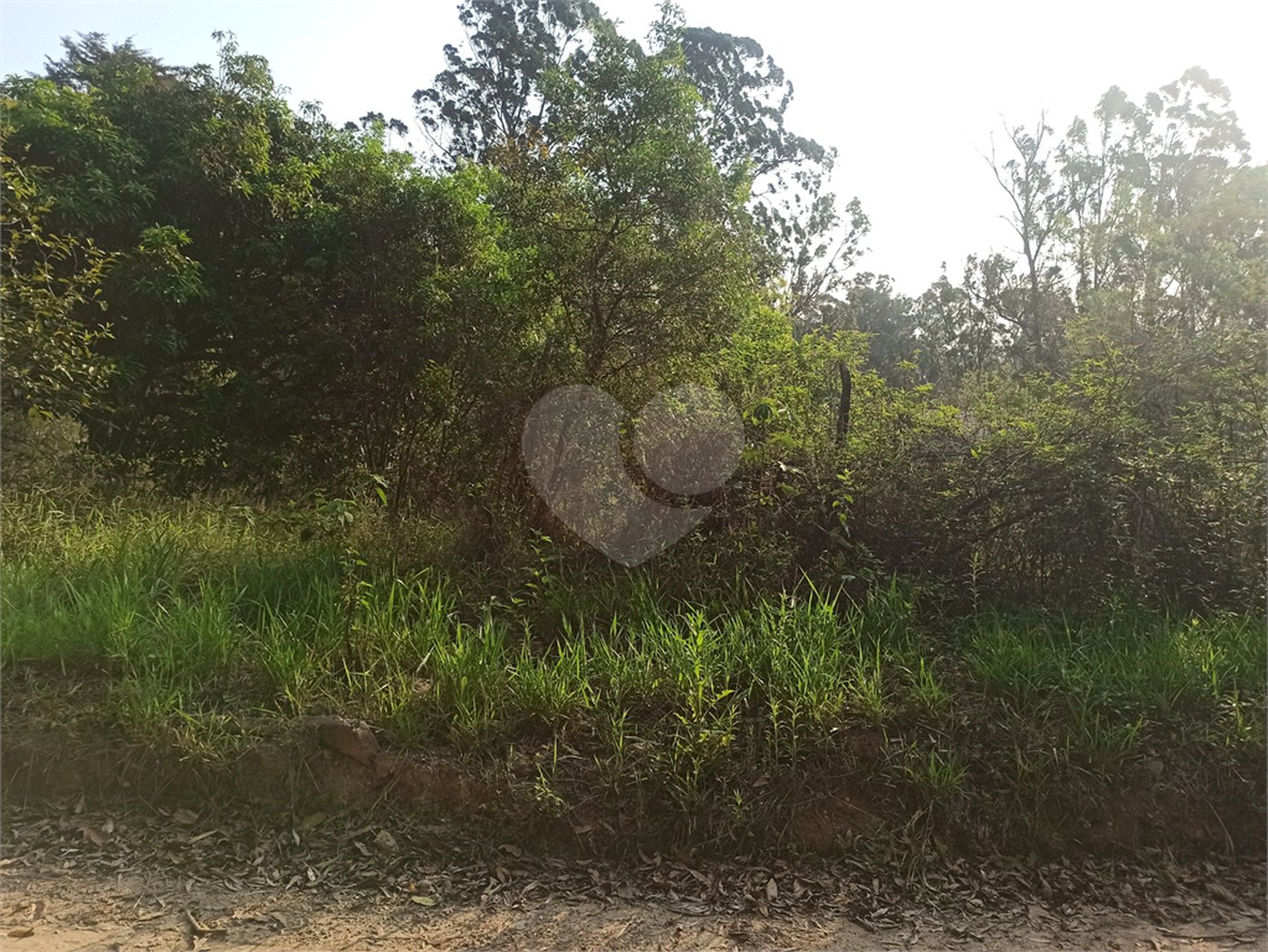 Terreno à venda em Bosque dos Eucalíptos, Atibaia, SP