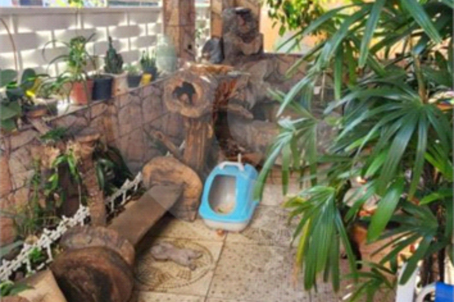 Casa Térrea à venda com 3 quartos, sendo 2 suítes, em Vila Medeiros, São Paulo, SP