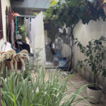Casa Térrea à venda com 3 quartos, sendo 1 suíte,  em Parque Edu Chaves, São Paulo, SP