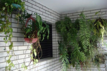 Apartamento Residencial à venda, Boqueirão, Praia Grande - AP0478.