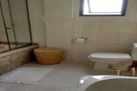 Apartamento Residencial à venda, Boqueirão, Praia Grande - AP0478.