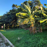 Terreno à venda em Geribá, Armação dos Búzios, RJ