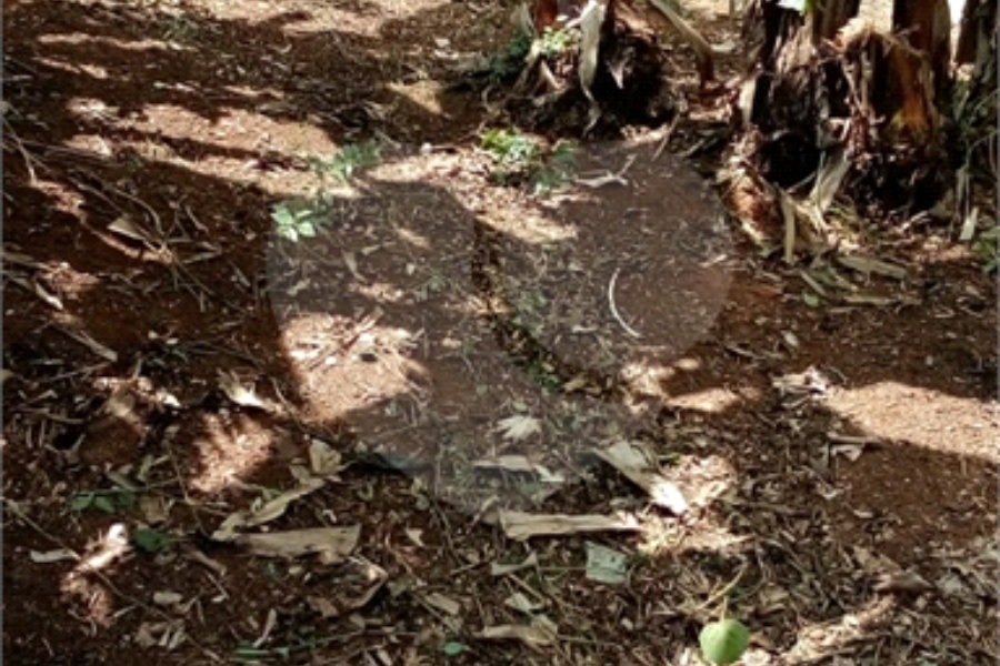 Terreno à venda em Freguesia do Ó, São Paulo, SP