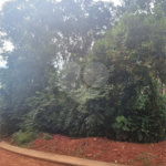 Terreno à venda em Transurb, Itapevi, SP