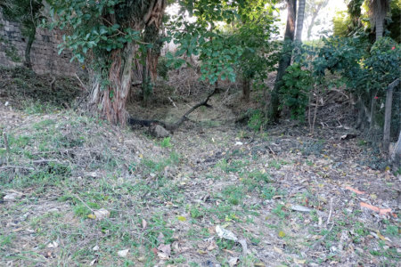 Terreno à venda em João Xxiii, Vinhedo, SP