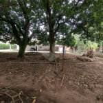 Terreno à venda em Jardim Bela Vista, Guarulhos, SP