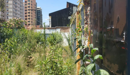 Terreno à venda ou para alugar em Chácara Santo Antônio, São Paulo, SP