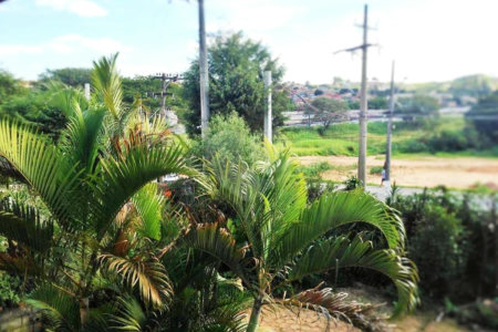 Casa à venda com 4 quartos em Capela, Vinhedo, SP