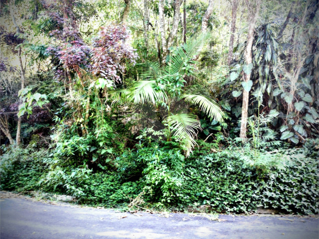 Terreno à venda em Serra da Cantareira, Mairiporã, SP