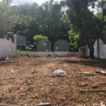 Terreno à venda ou para alugar em Tucuruvi, São Paulo, SP