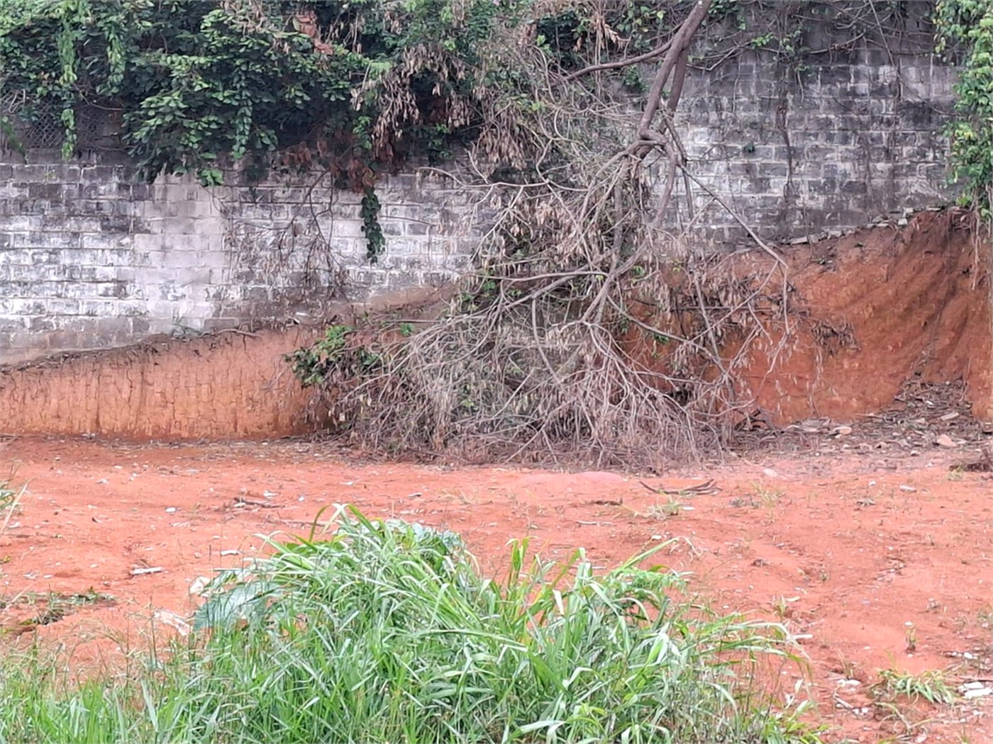 Terreno à venda em Vila Albertina, São Paulo, SP