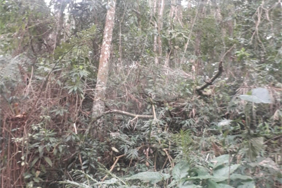 Terreno à venda em Suasalito, Mairiporã, SP