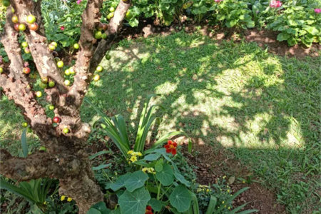 Sobrado à venda com 5 quartos, sendo 4 suítes,  em Rolinópolis, São Paulo, SP