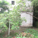 Casa Térrea à venda com 1 quarto em Santana, São Paulo, SP