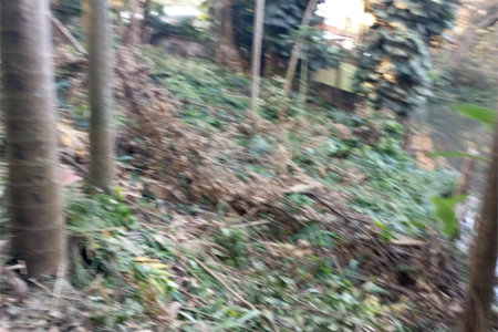 Terreno à venda com 1 suíte em Alto da Boa Vista, São Paulo, SP