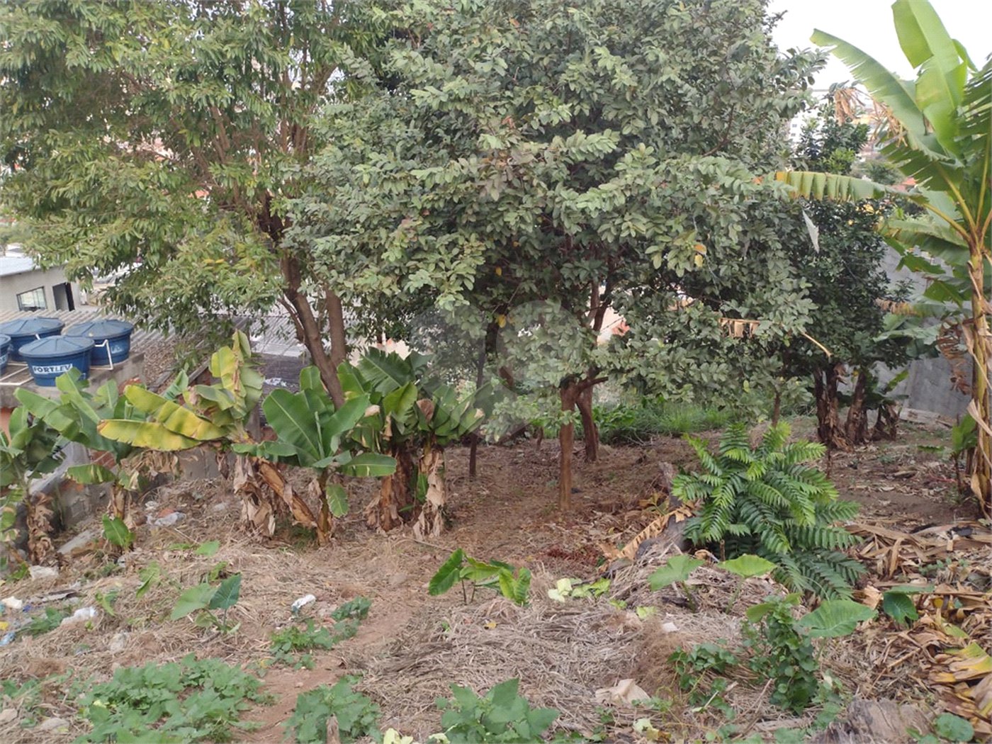 Terreno à venda em Vila Romero, São Paulo, SP