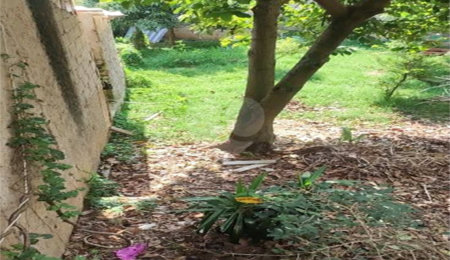 Terreno à venda em Vila Nova Mazzei, São Paulo, SP