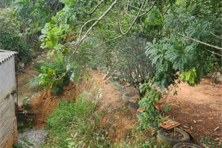 Terreno à venda em Parque Maringá, Arujá, SP
