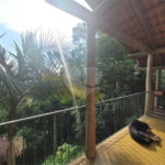 Casa Térrea à venda com 2 quartos, sendo 1 suíte,  em Serra da Cantareira, Mairiporã, SP