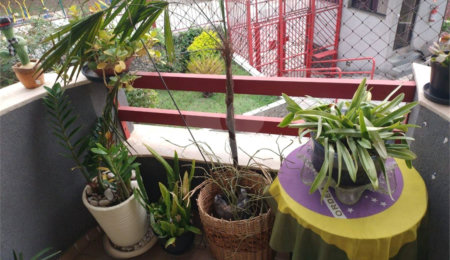 Apartamento à venda com 2 quartos em Vila Oratório, São Paulo, SP