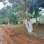 Terreno à venda em Vila Sol Nascente, Suzano, SP