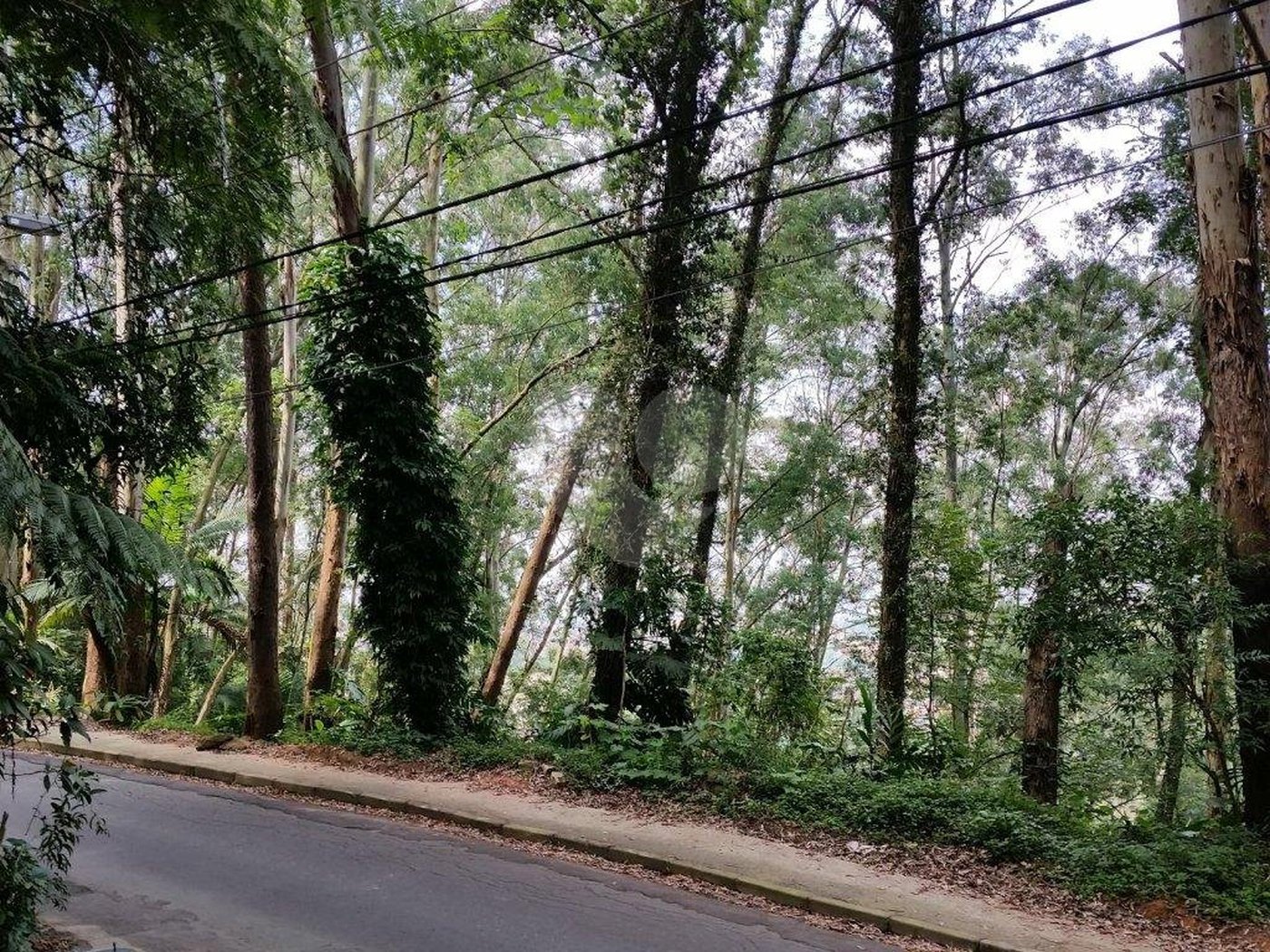 Terreno à venda em Tucuruvi, São Paulo, SP
