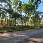 Terreno à venda no condomínio Sausalito, Mairiporã - SP