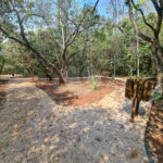 Casa à venda com 3 suítes no condomínio Vila do Bosque, Sorocaba - SP