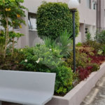 Apartamento à venda com 2 quartos em Mandaqui, São Paulo, SP
