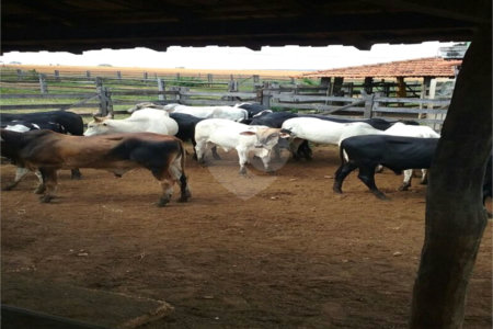Fazenda à venda com 2 quartos em Canabrava, João Pinheiro, MG
