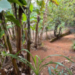 Terreno à venda em Santana, São Paulo, SP